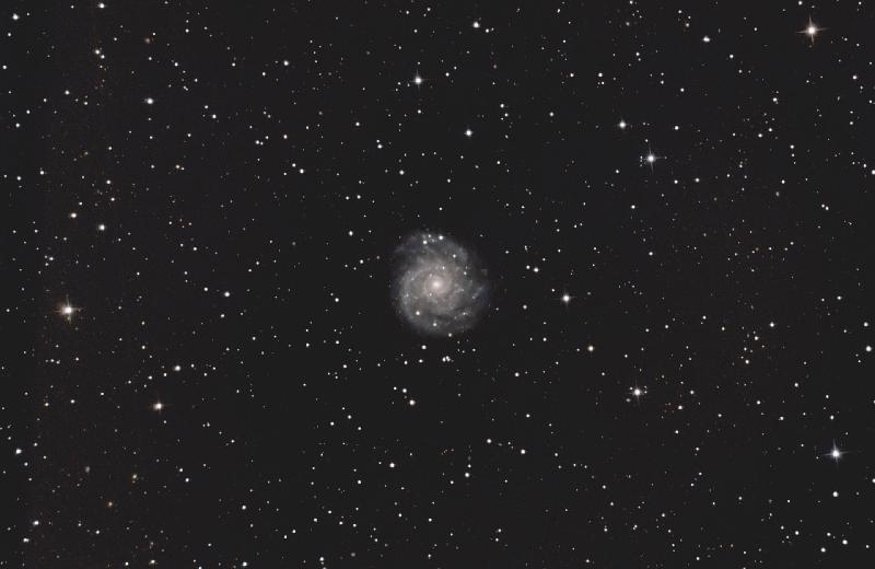 M 74