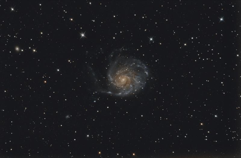 M101 M101
