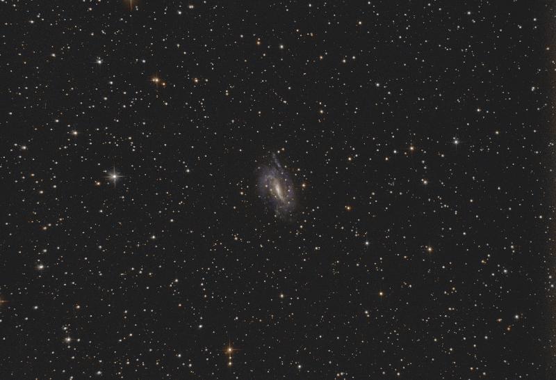 NGC 925 NGC 925