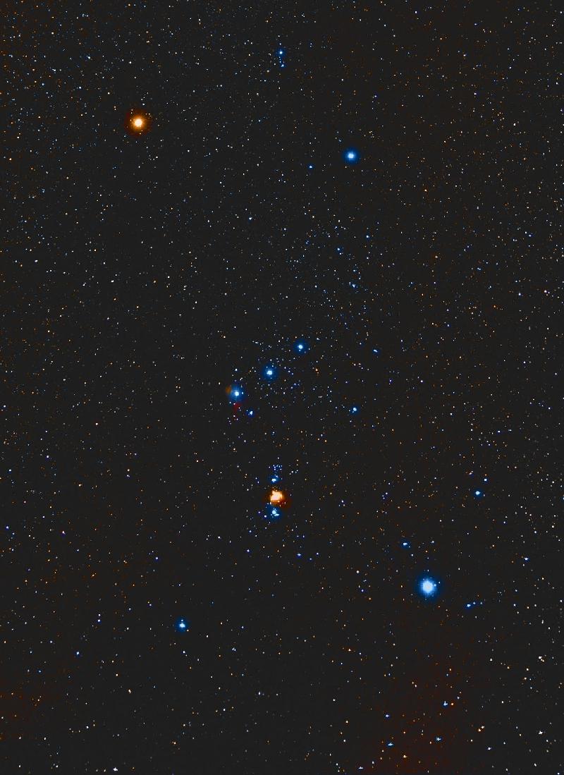 Orion Orion