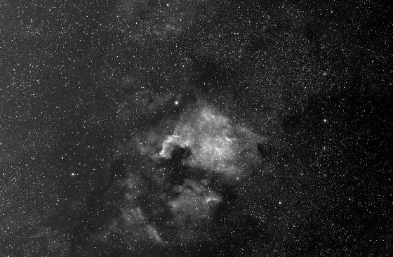ngc 7000 et Pelican
