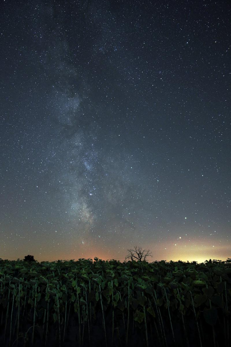 Alignement de Saturne, Mars et Antares Alignement de Saturne, Mars et Antares