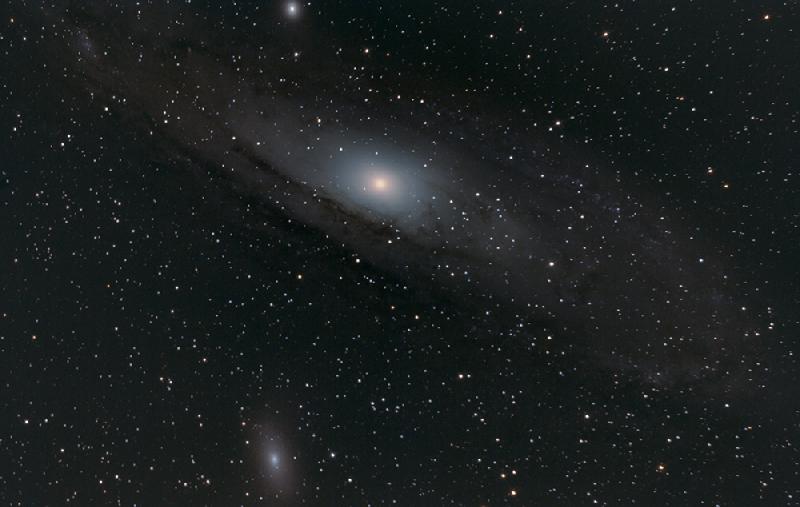M31