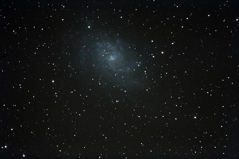 M33