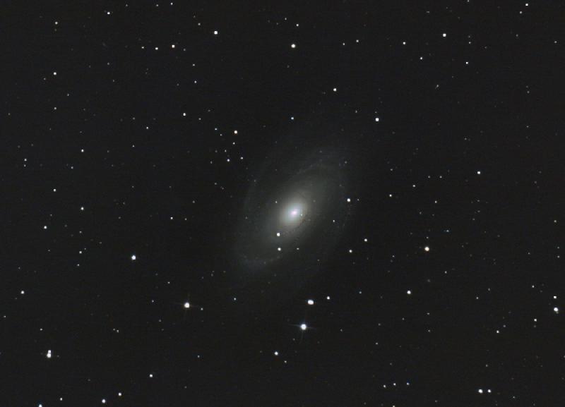 M81