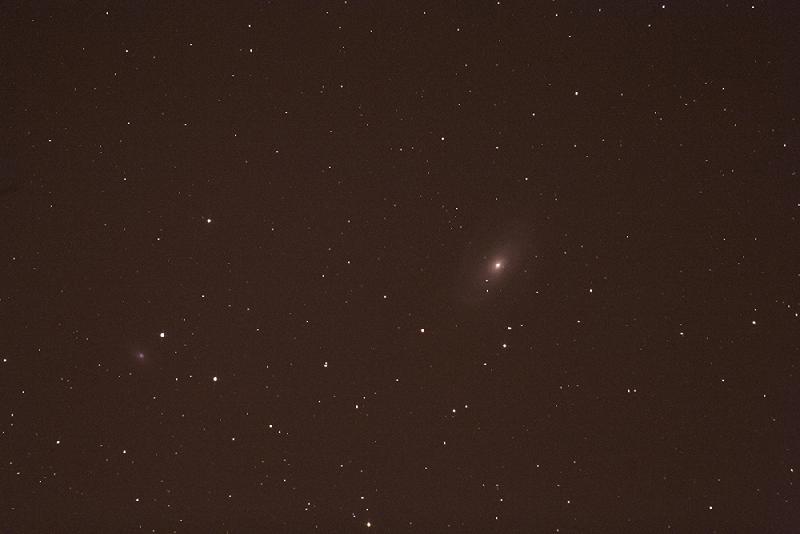 Brute M81 120s