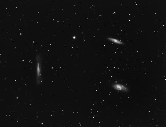 Triplet de léo