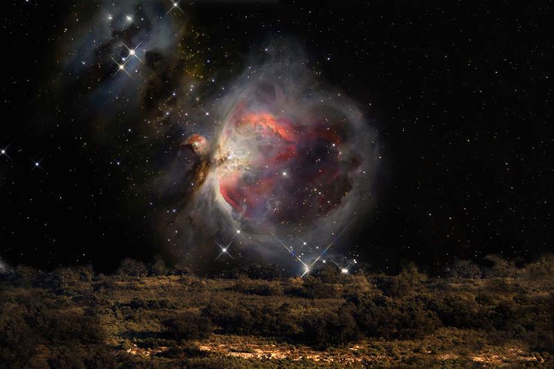 M 42 M 42