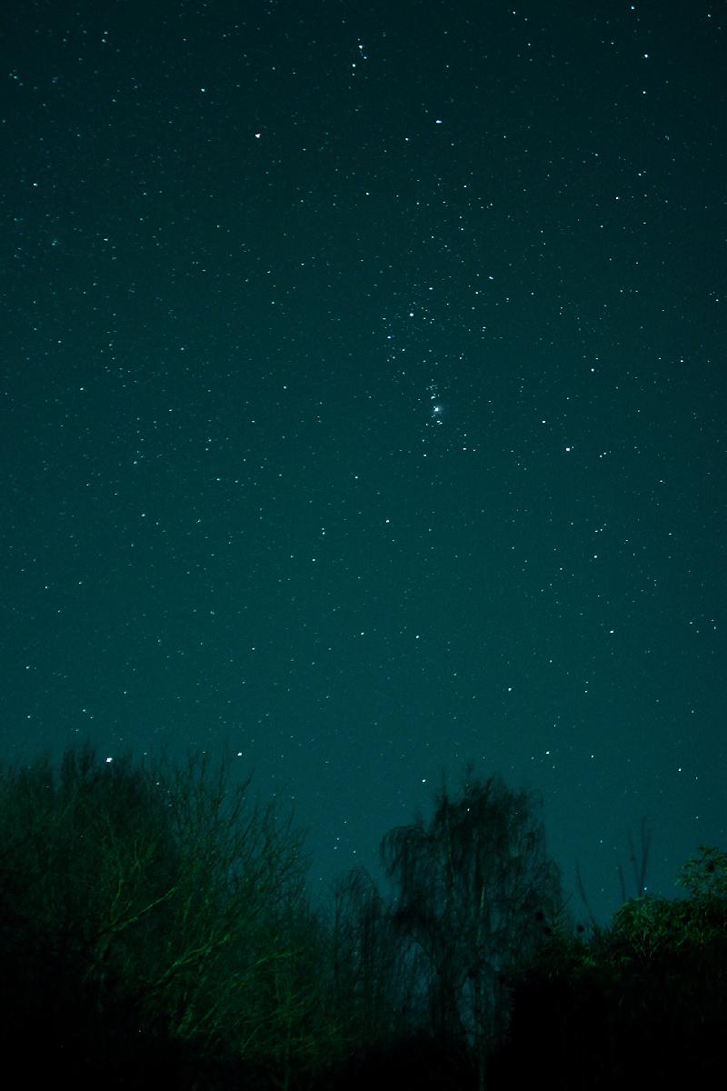 Nébuleuse d'Orion 
