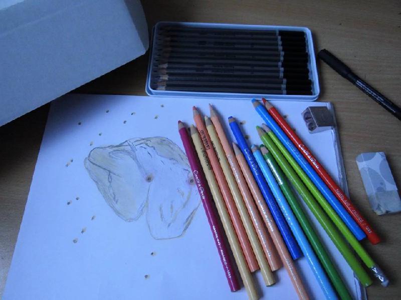 Crayons patels craies