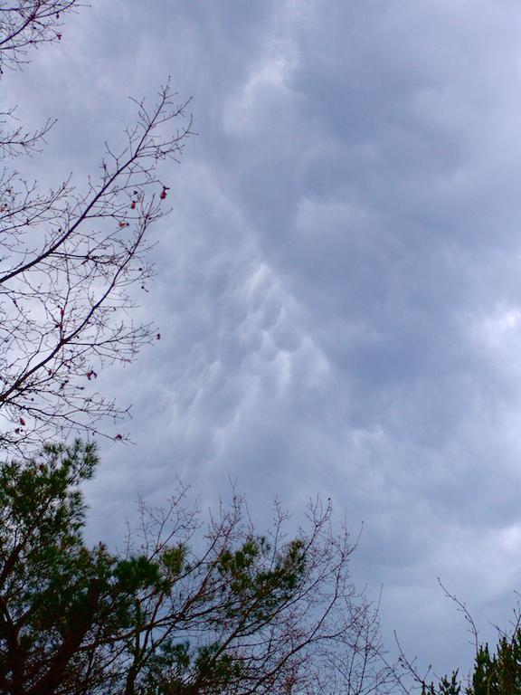 Nuages Mamatus1 Nuages Mamatus1