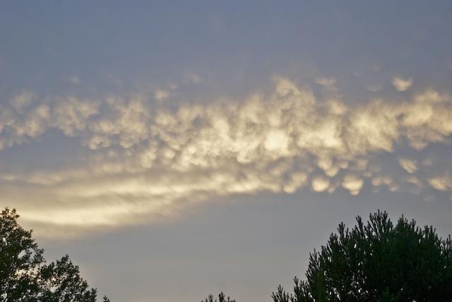 mamatus