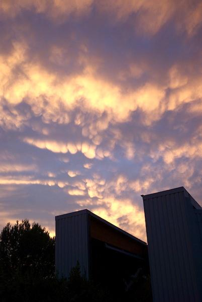 Mamatus Mamatus