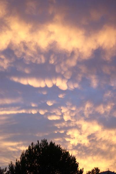 Mamatus