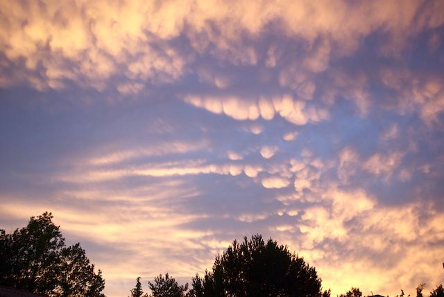 Mamatus