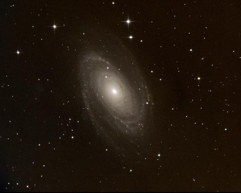 M81 bis M81 bis