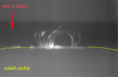 loops au spectroscope