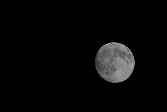 Lune 600mm Lune 600mm