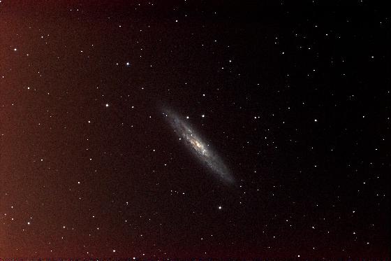 ngc253 prétaitée ngc253 prétaitée
