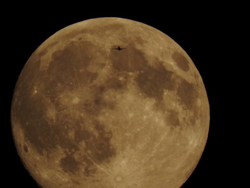 lune lune