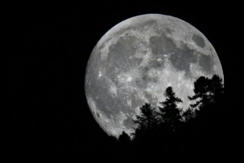Pleine lune derrière les mélezes