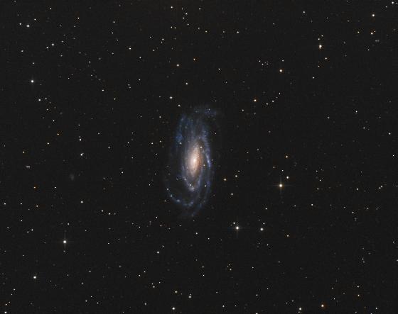 NGC5033 ter