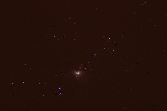 M42 moisie