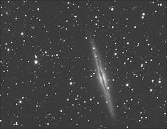 NGC891
