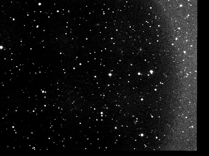 brute 90s prétraitée