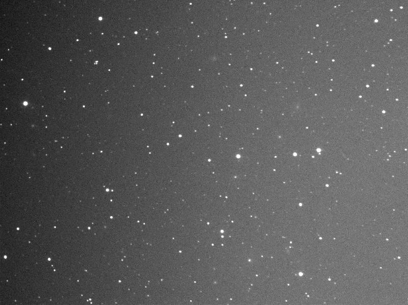 brute 90s prétraitée