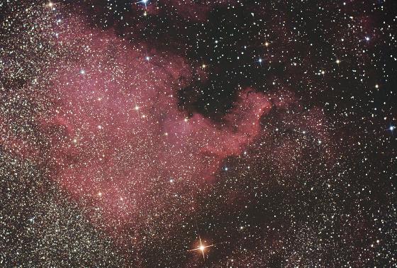 Ngc 7000 Crop Ngc 7000 Crop