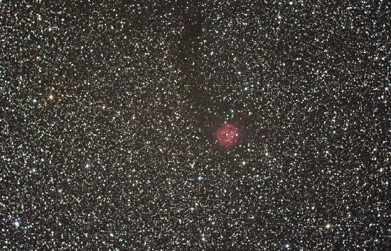 Ic5146 crop Ic5146 crop