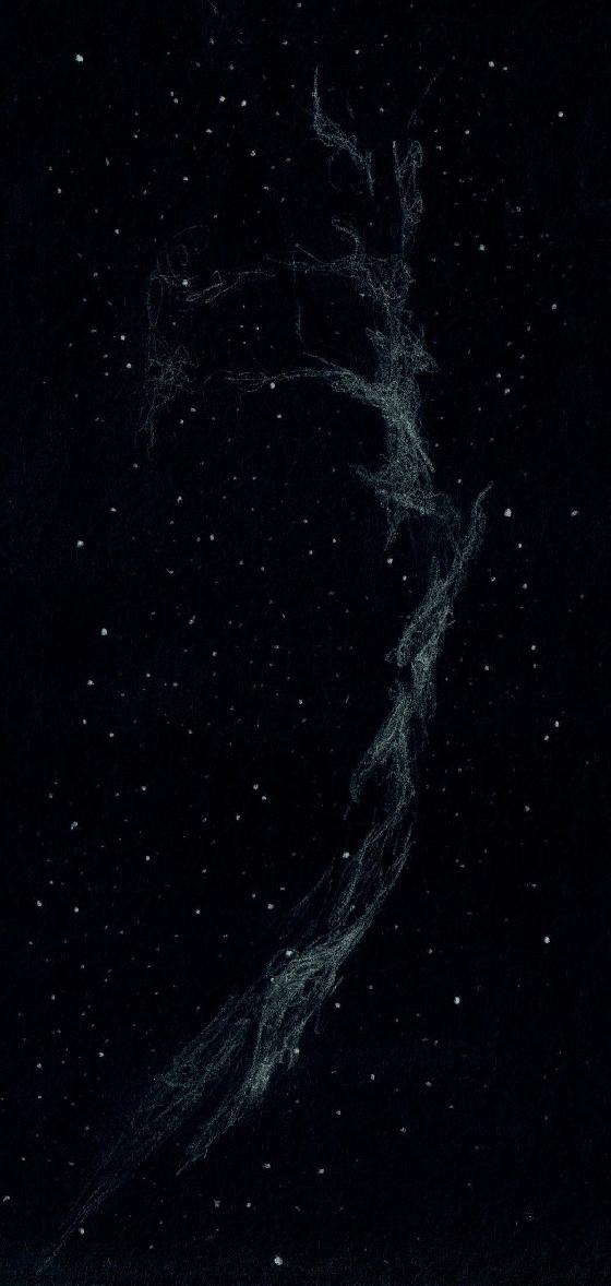 NGC 6992 281010 T300lamontagne NGC 6992 281010 T300lamontagne