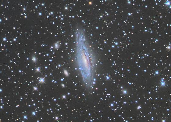 NGC7331