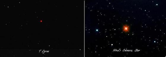 Etoiles carbonées