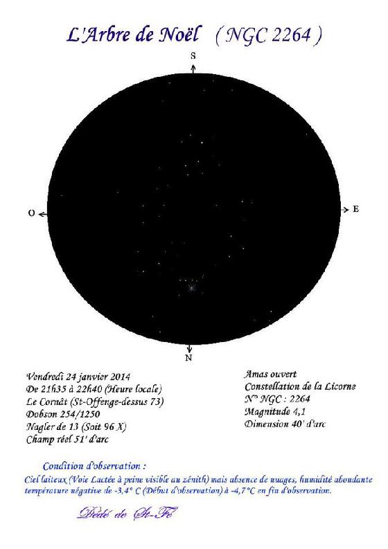 Amas de l'Arbre de Noël