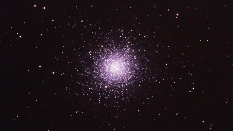 M13 crop M13 crop