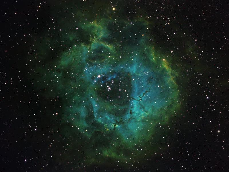Rosette V3 Rosette V3