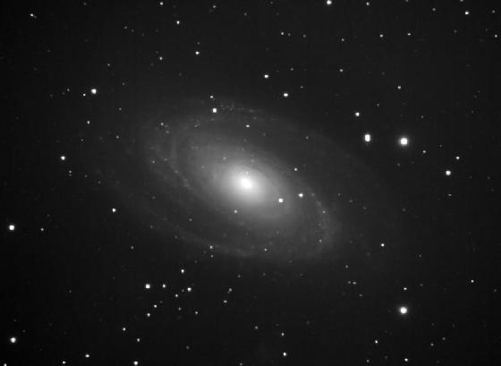 m81 m81