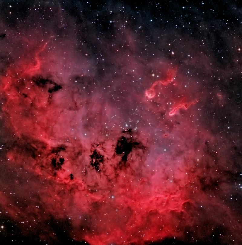 IC 410