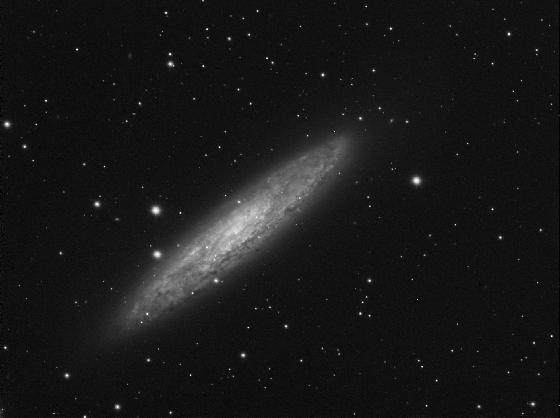 NGC253