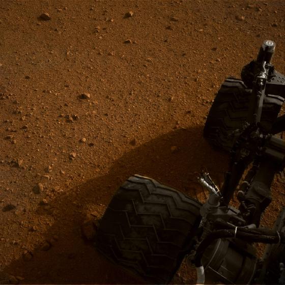 Colorisation Curiosity 1