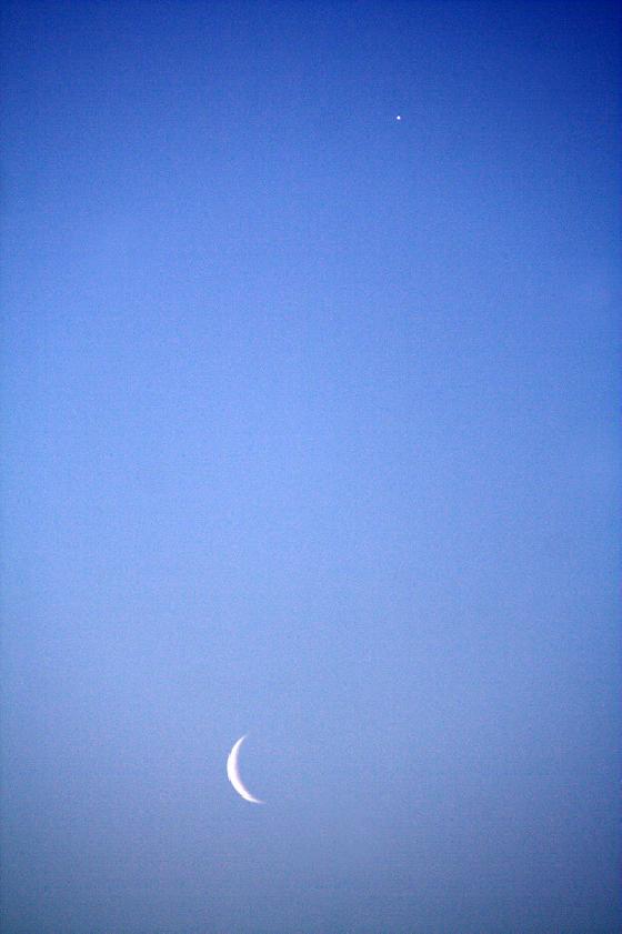 Matin tunisien Matin tunisien