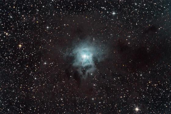 Nebuleuse de l'iris Nebuleuse de l'iris