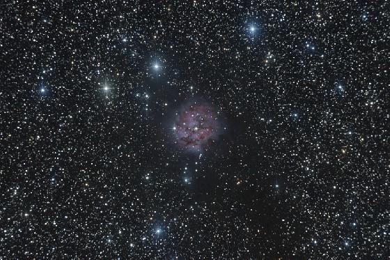 IC 5146