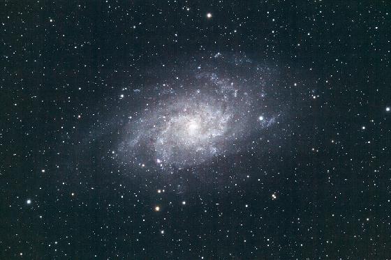 m 33 m 33