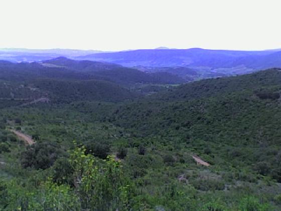 panorama queribus. panorama queribus.