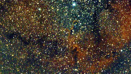 IC1396 - Détails : serpent, trompe d'éléphant IC1396 - Détails : serpent, trompe d'éléphant