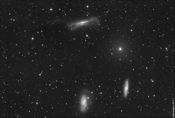 Tidal wave sur NGC 3628