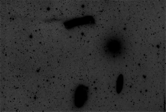 Tidal wave sur NGC 3628 - invert